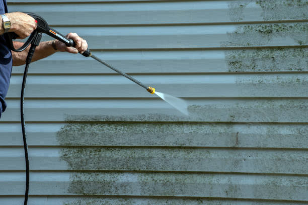 Best Roof Cleaning and Mildew Removal in Dickson City, PA